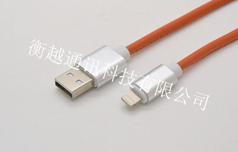苹果插头对USB 2.0 AM